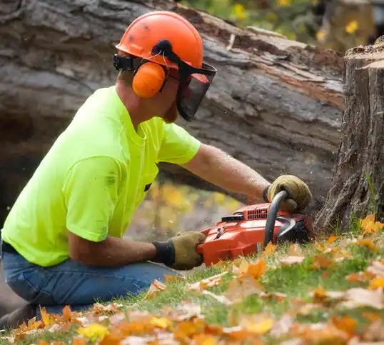 tree services Cottleville